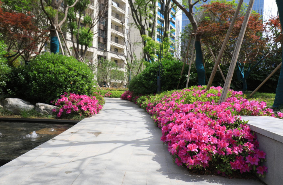 QQ截图20240105152523.png QQ截图20240105152523.png
